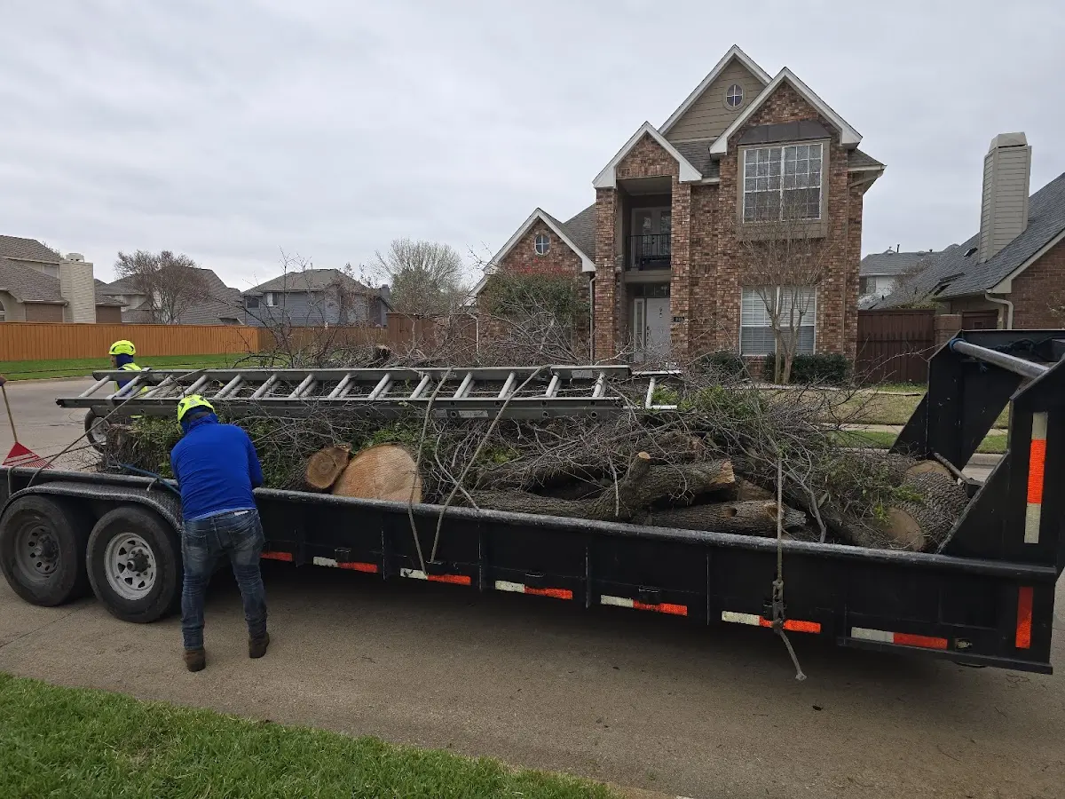 Expert Tree Fertilization with proper safety equipment in Hyampom